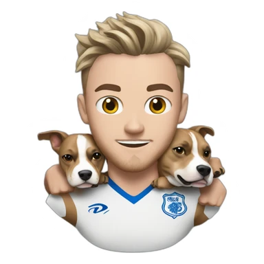 james-maddison-holding-pitbull sticker