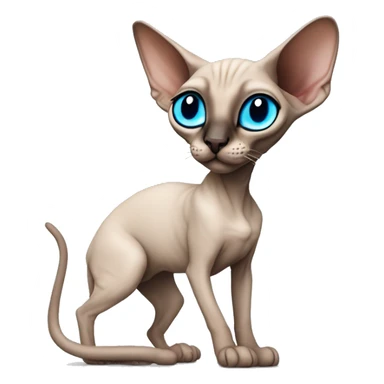 Siamese Sphynx Peterbald  cat with blue eyes, full thin body stand, black nose ears and tail sticker