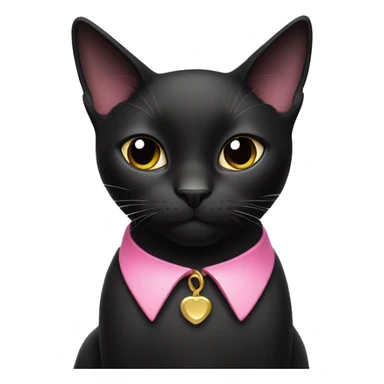 Black cat with white lower face wearing a pink collar sticker