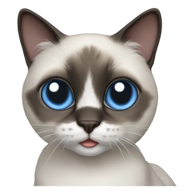 snowshoe cat blue eyes sticker