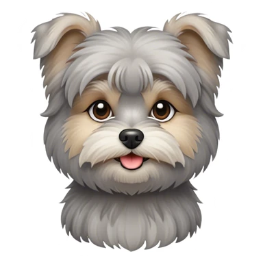 grey Morkie dog sticker