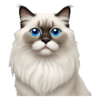 himalayan ragdoll cat with blue eyes sticker