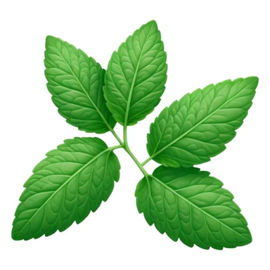 mint leaf, two overlapping leaves sticker