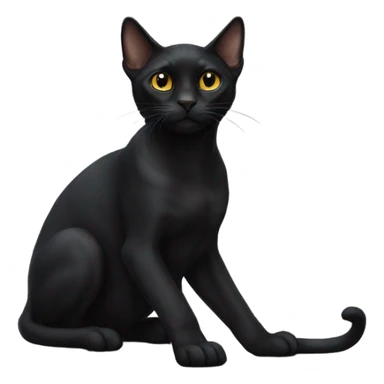 black cat of the sphinx breed sticker