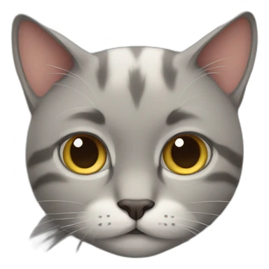 cat looking shy sticker