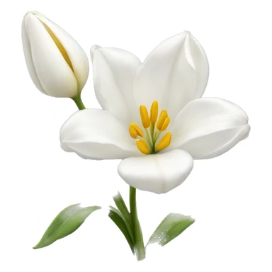 White tullipa sticker