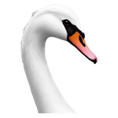 Black and white hybrid swan  sticker