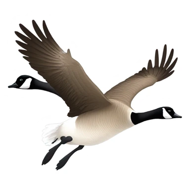 Canada goose in flight sticker