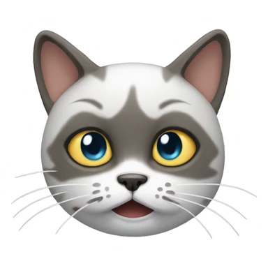 cat with tears  sticker