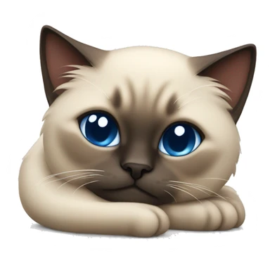 fluffy siamese cat curled up sleeping sticker