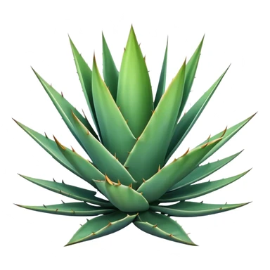 Agave sticker