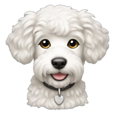 White female Caniche puppy sticker