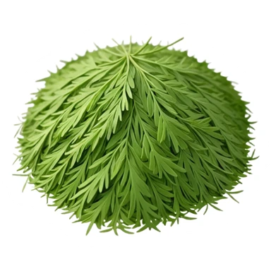 loose sprinkle of fine, feathery green herb flakes, dry airy texture, muted earthy green tones, delicate thread-like pieces, unevenly scattered, evoking dried dill leaves, soft lighting, subtle shadows, emoji scale sticker