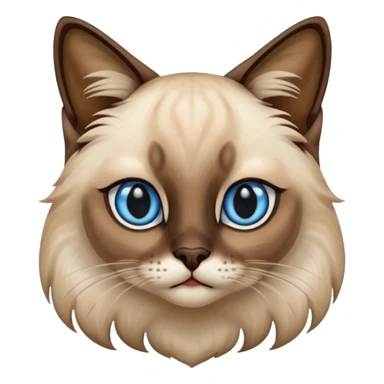 
Siamese cat: long hair fur blue eyes sticker