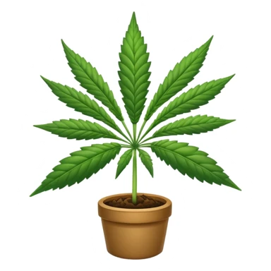 cannabise sticker