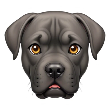 Cane corso sticker