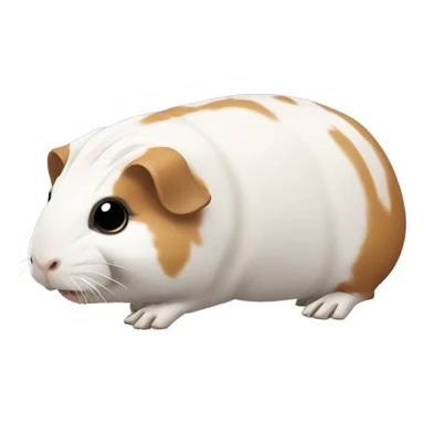 Skeleton of a guinea pig sticker