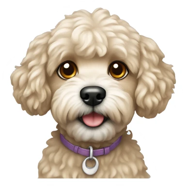 Dog maltipoo sticker