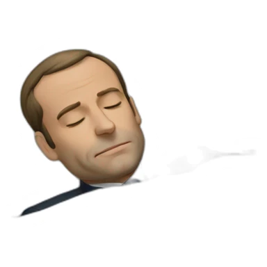 sleeping-macron sticker