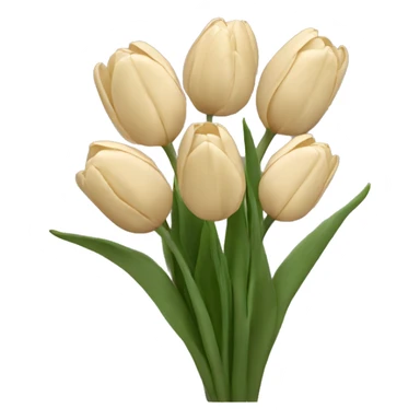 bunch of beige tulips  sticker