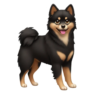 Brown black pomsky sticker