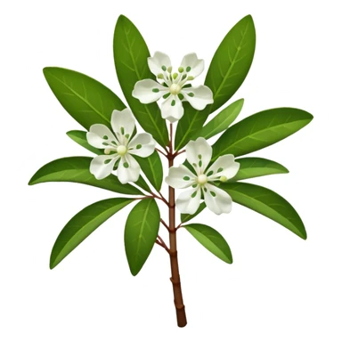 single white Mountain laurel, straight stem sticker