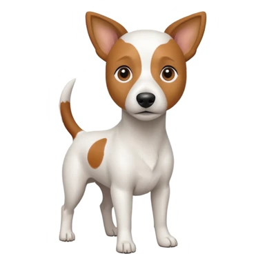 a fully white jack russell the size of a kelpie with light brown ears and a light brown patch on one eye sticker