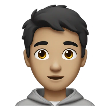 Boy with straight black hair, medium black eyes with a gray sweatshirt, with a thin face and semi-dark white skin sticker