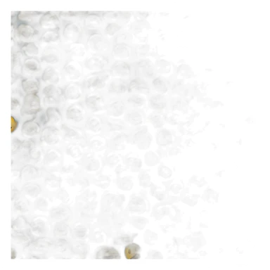 emojis de commpra y venta de dólares. que el personaje sea tierno y amable  sticker