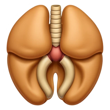 male genital organ sticker