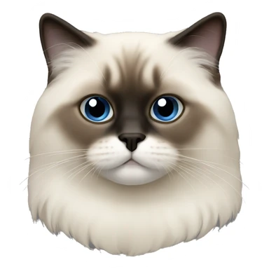 Birman cat sticker