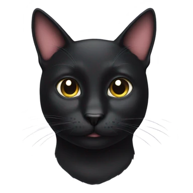 black cat with a moustache sticker