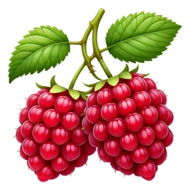 raspberry fruit sticker