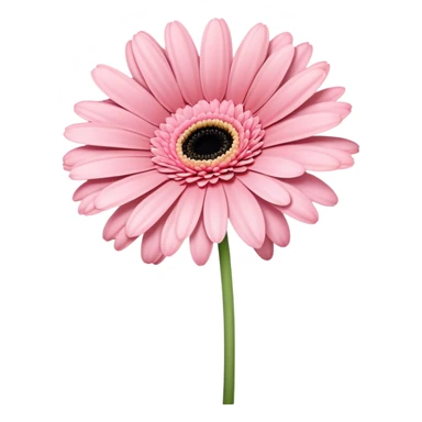 single Soft Pink Gerbera Daisy, straight stem sticker