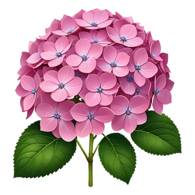 ultra realistic pink hydrangea no leaf sticker