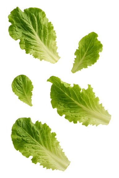 foglie di insalata fluttuano in aria, iperrealistico, non disegnato sticker