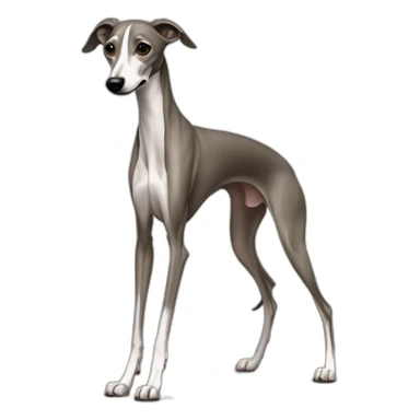 Skinny all back whippet walking sticker
