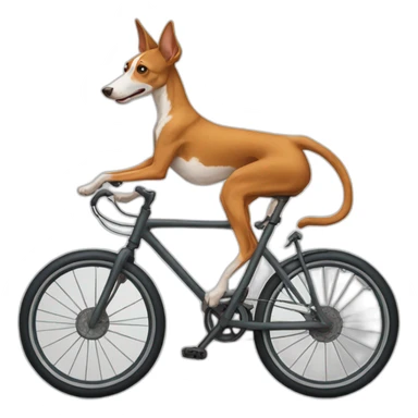 Podenco subido en bicicleta sticker