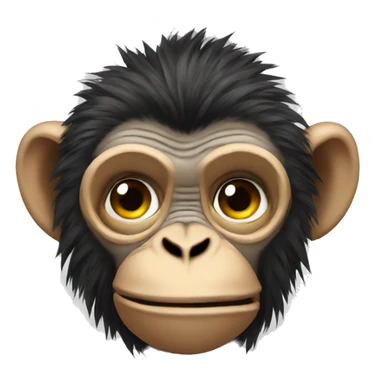 Punk monkey sticker