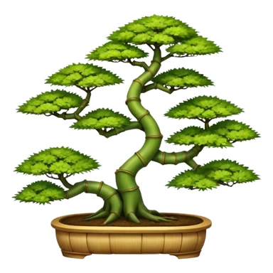 Tiered and twisted bamboo floor shelving unit stand displaying hair leaf maples and pine bonsai plants(in shallow bonsai pots)  sticker