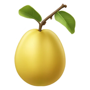 marula fruit, similar in appearance to a yellow plum, has a light-colored flesh sticker