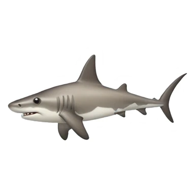 hammerhead shark sticker