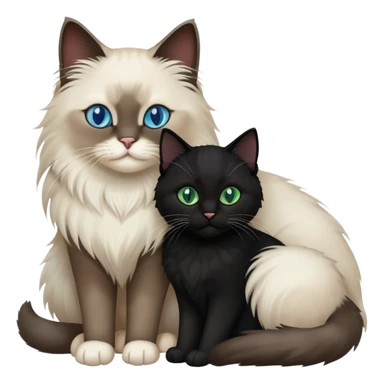 One ragdoll cat and one black cat hugging  sticker