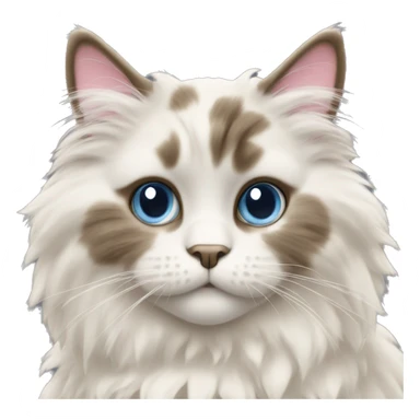 Fluffy Rag doll cat with a pretty face sticker