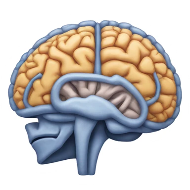 MRI scan brain sticker