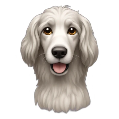 ShaggyDog sticker