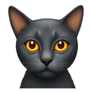 dark grey cat with orange eyes sticker