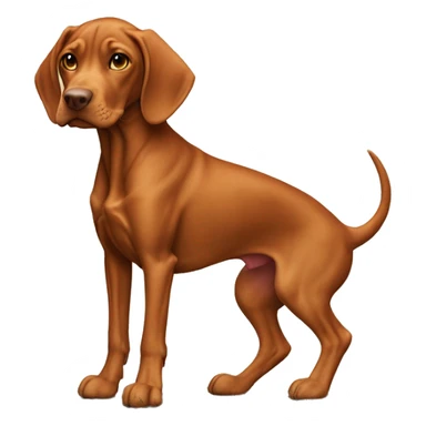 Vizsla on dragon’s back sticker