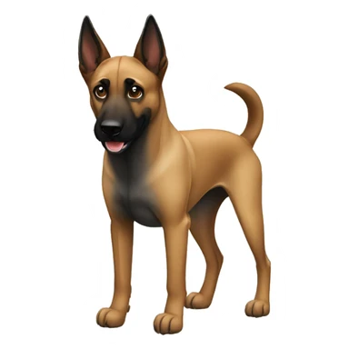Malinois sticker