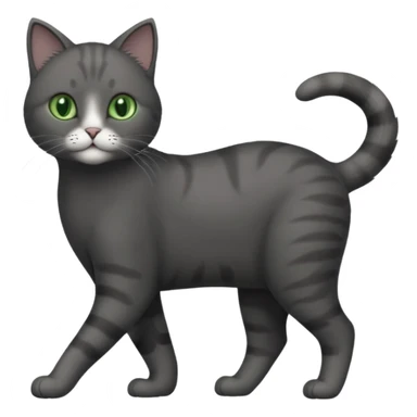 full body solid dark grey cat with green eyes, white paws and white whiskers walking sticker